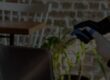Cleaning furniture through the eyes of the client