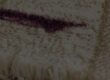 stain on carpet, getting ready for carpet cleaning