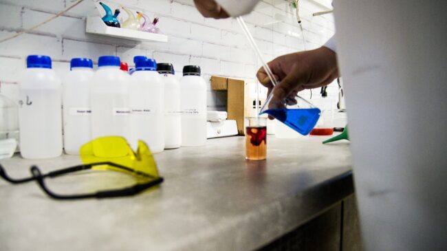 Wieberr products: testing