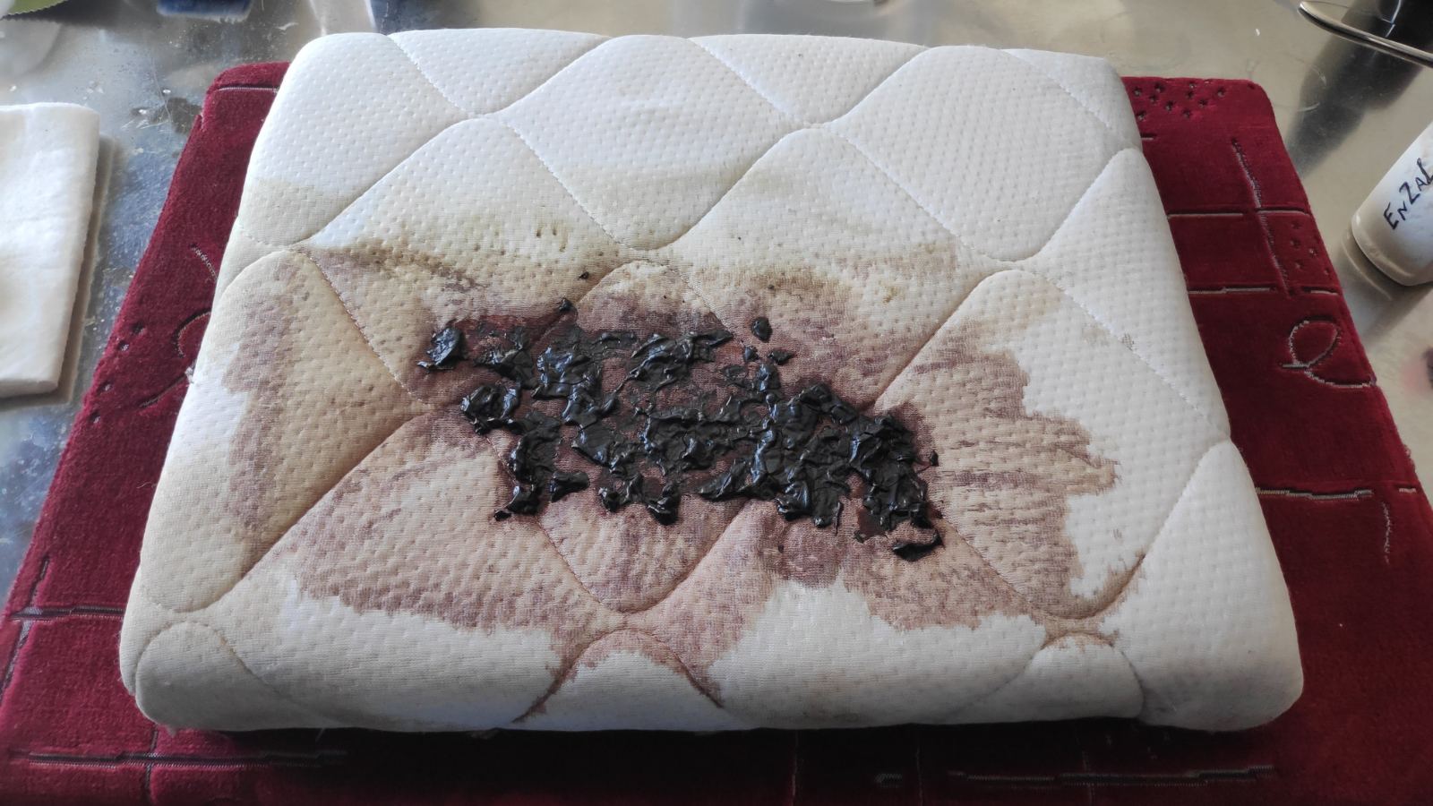 Carpet Cleaning Workshop